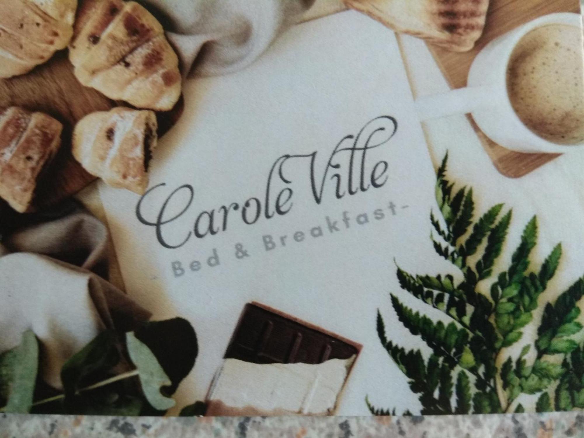 Blackrock Carole Ville Guesthouse คอร์ก ภายนอก รูปภาพ
